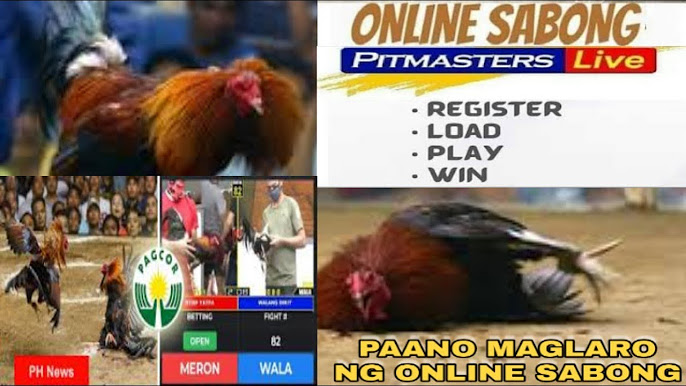 Pitmaster Online Sabong