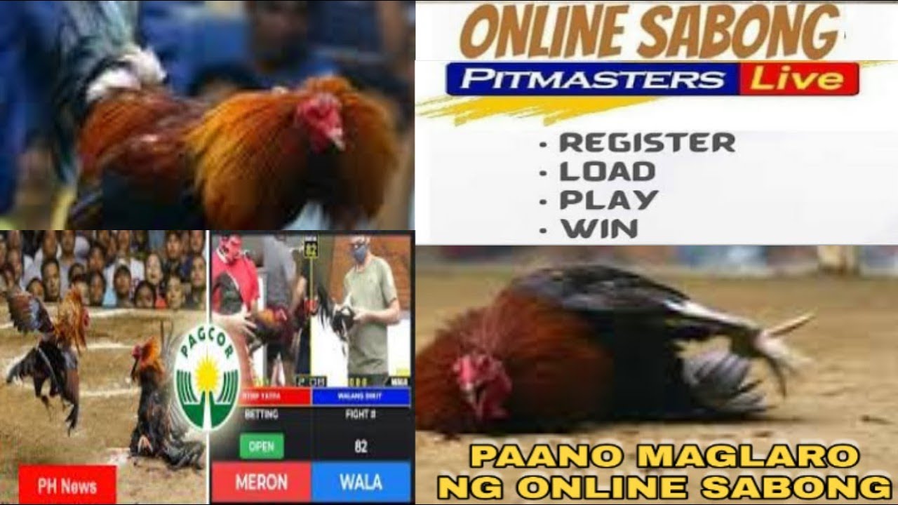 Pitmaster Sabong Online