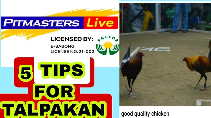 Pitmaster Casino Ph